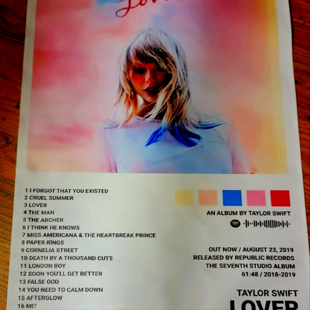 16' X 24" Taylor Swift Canvas